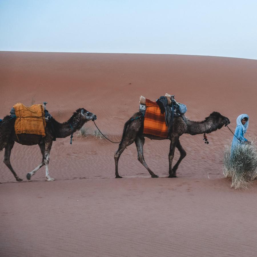 Camel Luxury Camp Bed & Breakfast Merzouga Exterior photo