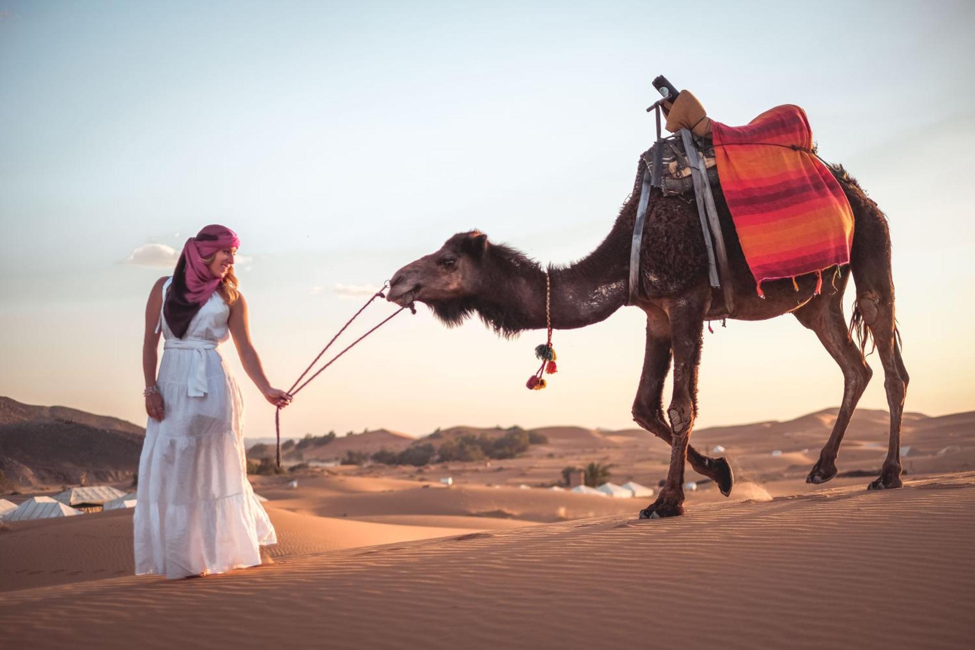 Camel Luxury Camp Bed & Breakfast Merzouga Exterior photo